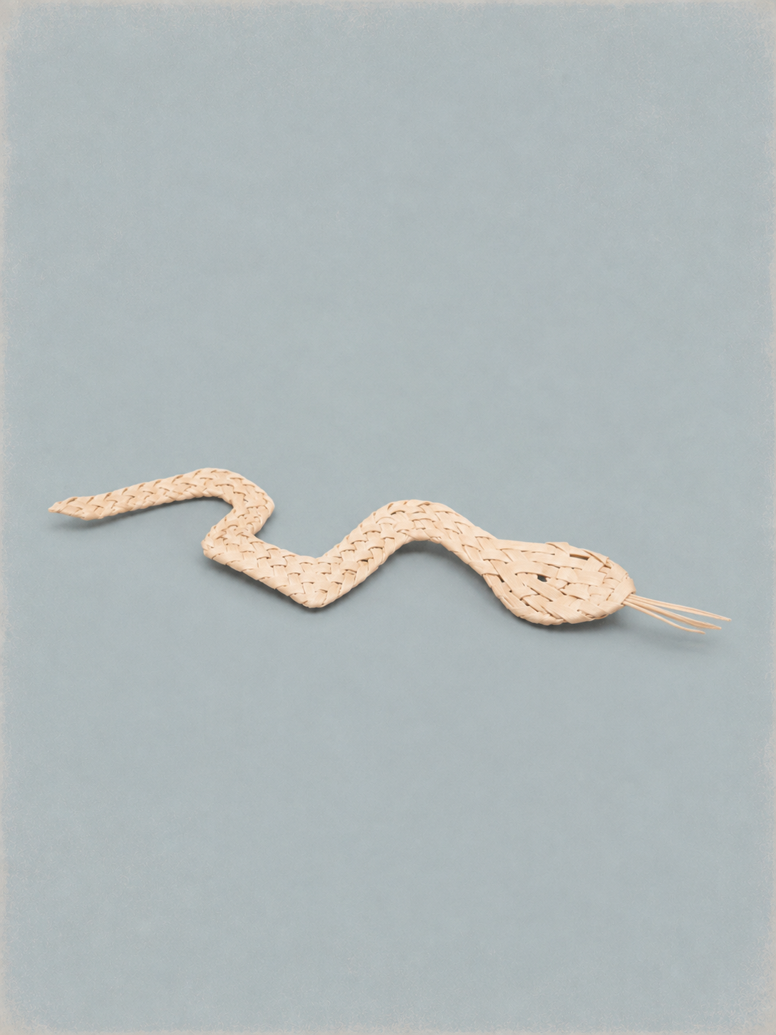 ZigZag Snake - Danielle Lafaurie
