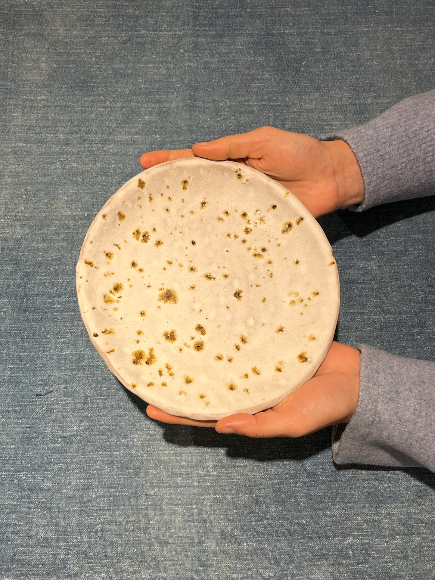 Speckled Volcan Plate - Potry