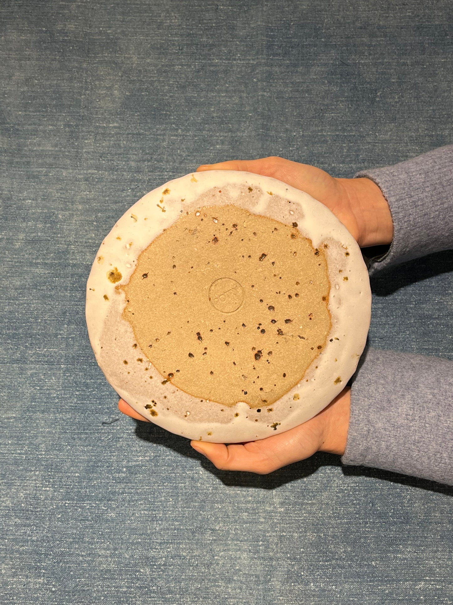 Speckled Volcan Plate - Potry