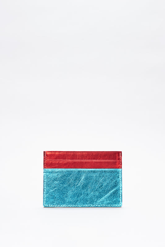 The Cardholder Nasa - Delphina Güe