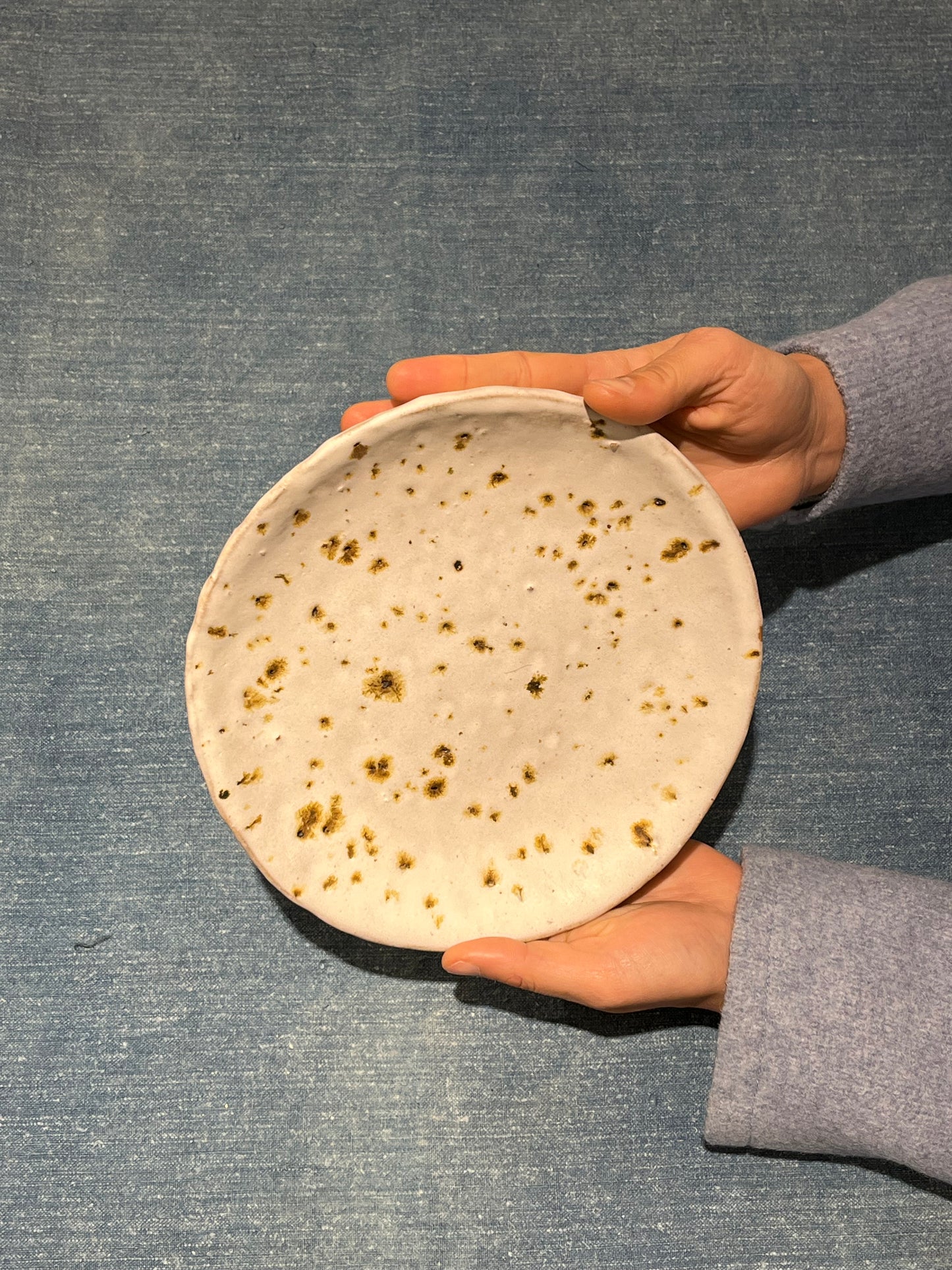 Speckled Volcan Plate - Potry