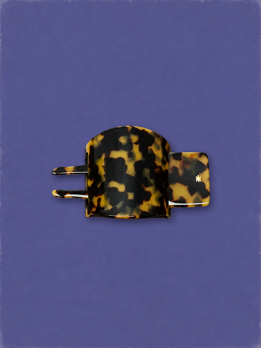 The Knot - Turtle Story