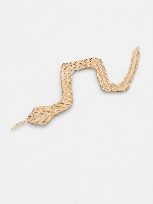 ZigZag Snake - Danielle Lafaurie