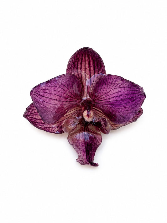 Floral Ring Purple - Softenheart