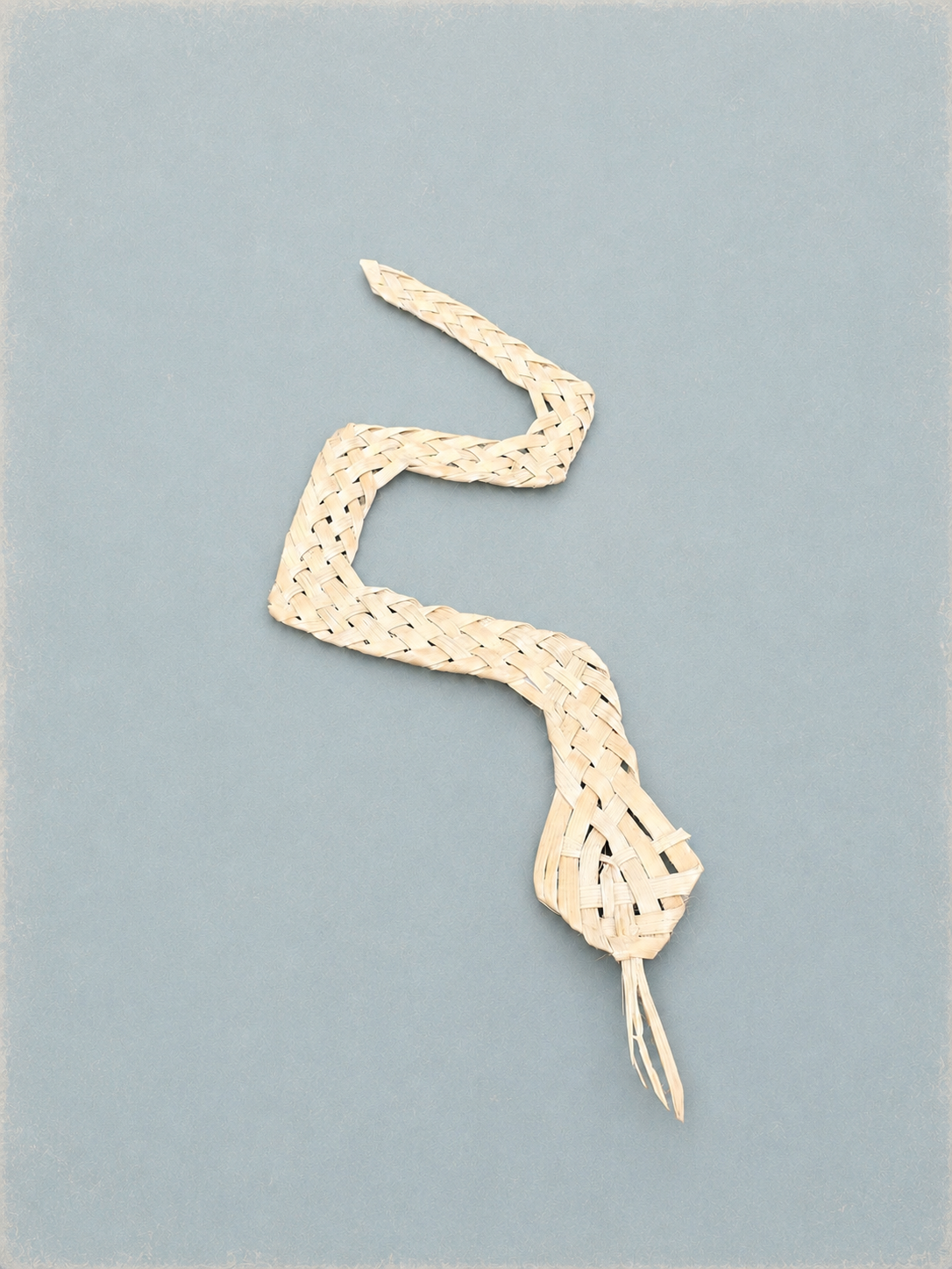 ZigZag Snake - Danielle Lafaurie